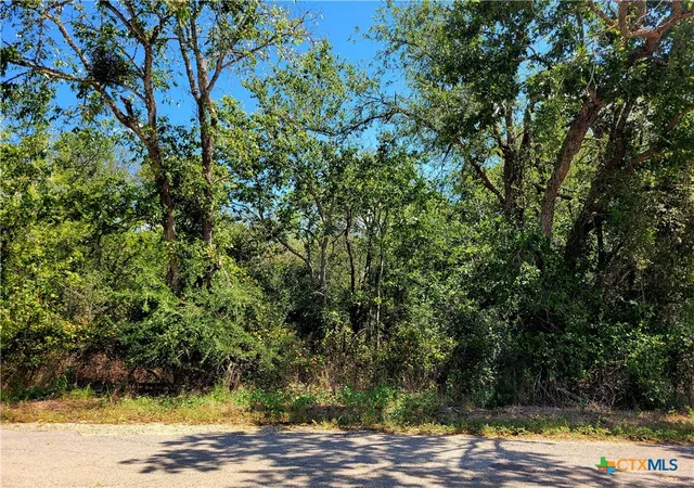 2nd image of Tbd Dale Ln, Dale, TX 78616 | MLS# 555508