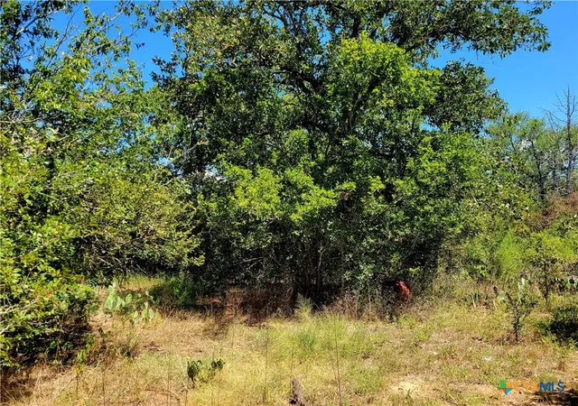 3rd image of Tbd Dale Ln, Dale, TX 78616 | MLS# 555508