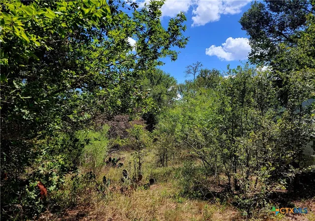 4th image of Tbd Dale Ln, Dale, TX 78616 | MLS# 555508