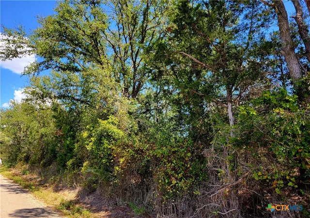 5th image of Tbd Dale Ln, Dale, TX 78616 | MLS# 555508
