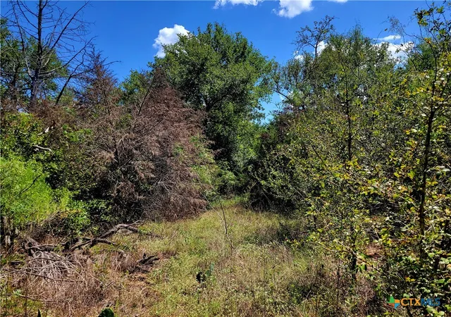 8th image of Tbd Dale Ln, Dale, TX 78616 | MLS# 555508