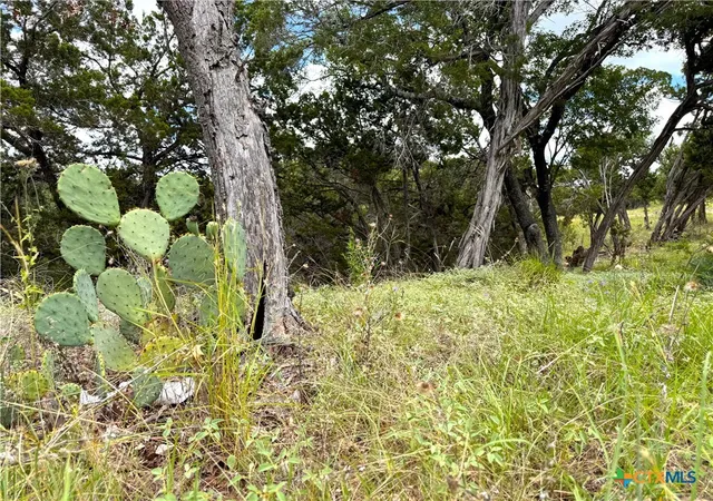 Photo 1 of Land for sale at 1220 Lakeside E Dr, Canyon Lake, TX 78133 | MLS# 555843 | Listing updated on 2026-05-31