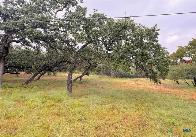 Photo 4 of Land for sale at 1220 Lakeside E Dr, Canyon Lake, TX 78133 | MLS# 555843 | Listing updated on 2026-05-31