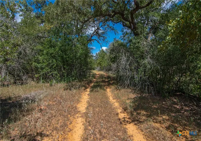 Land for sale at Tbd County Rd 434, Stockdale, TX 78160 | MLS# 556576