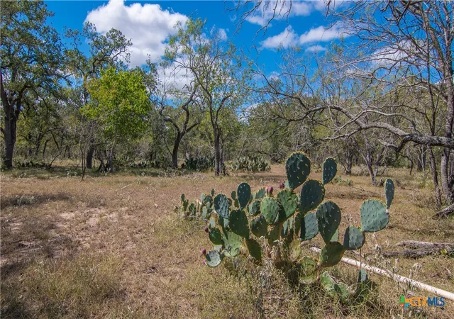 Photo 2 of House for sale at Tbd County Rd 434, Stockdale, TX 78160 | MLS# 556576 | Listing updated on 2026-06-28