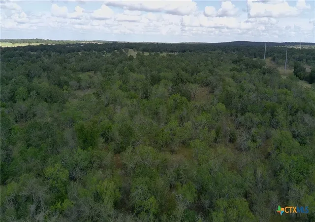 17th image of 0 Dowdy Rd, Seguin, TX 78155 | MLS# 558791