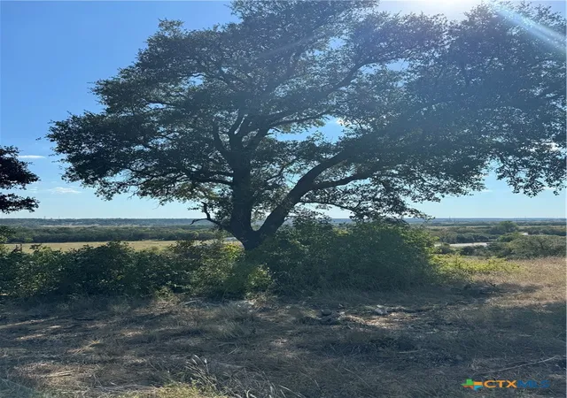 4th image of Lot 23 Bowles Ranch Rd, Belton, TX 76513 | MLS# 559144