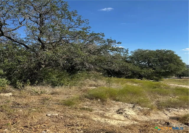 Photo 3 of Land for sale at Lot 24 Bowles Ranch Rd, Belton, TX 76513 | MLS# 559145 | Listing updated on 2026-03-11