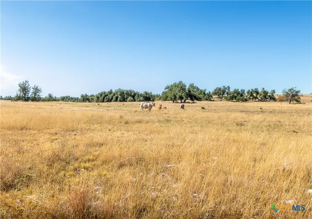 Farm at 315 Junker Hl Dr, Fredericksburg, TX 78631 | MLS# 561910 | | Sold on 2025-10-22