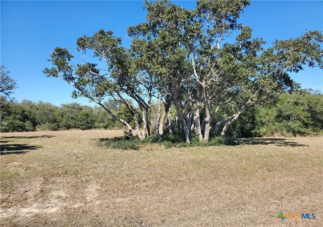 3rd image of Tbd Bayside Dr, Seadrift, TX 77983 | MLS# 564225