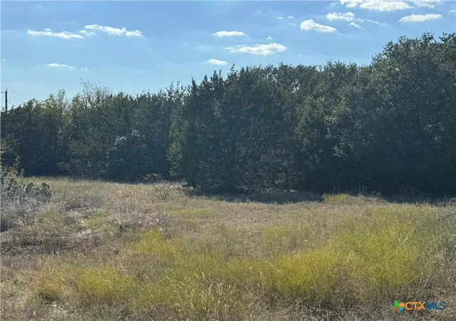 9th image of Lot 19 Bowles Ranch Rd, Belton, TX 76513 | MLS# 565165