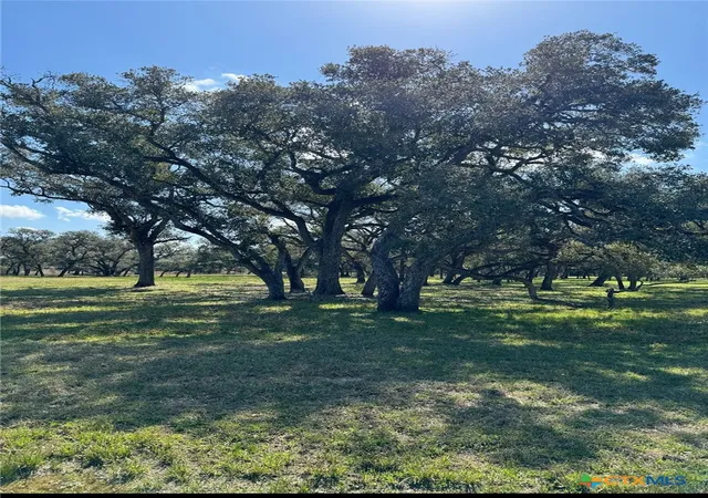Homes for sale in Inez, TX | 91 Post Oak Br, Inez, TX 77968 | MLS# 566043