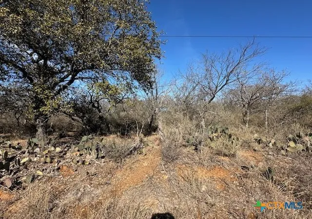 Photo 1 of Land for sale at 0 Tbd Cedar Dr, Granite Shoals, TX 78654 | MLS# 566970 | Listing updated on 2026-06-29