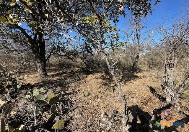 Photo 2 of Land for sale at 0 Tbd Cedar Dr, Granite Shoals, TX 78654 | MLS# 566970 | Listing updated on 2026-06-29