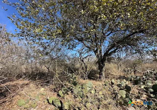 Photo 3 of Land for sale at 0 Tbd Cedar Dr, Granite Shoals, TX 78654 | MLS# 566970 | Listing updated on 2026-06-29