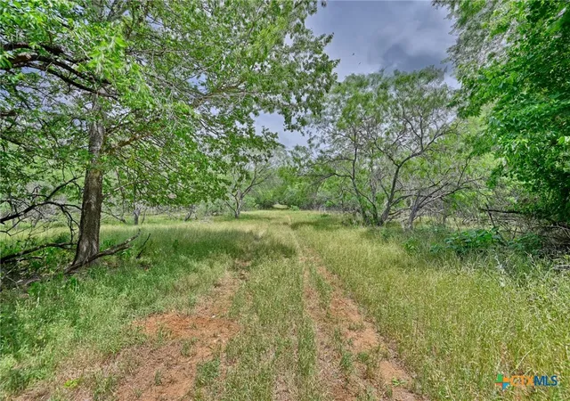 4th image of 1589 Jeddo Rd, Rosanky, TX 78953 | MLS# 566622