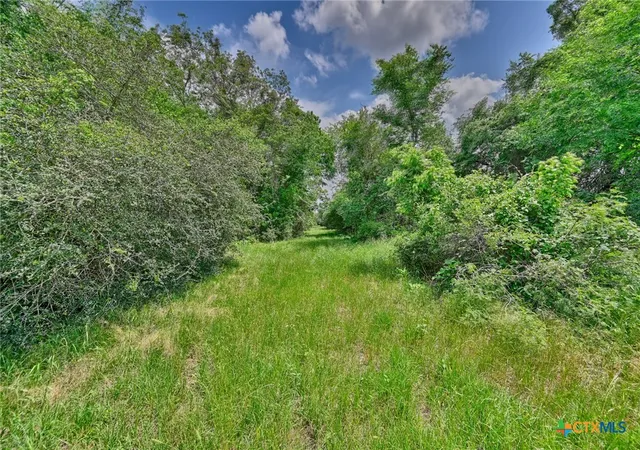 5th image of 1589 Jeddo Rd, Rosanky, TX 78953 | MLS# 566622