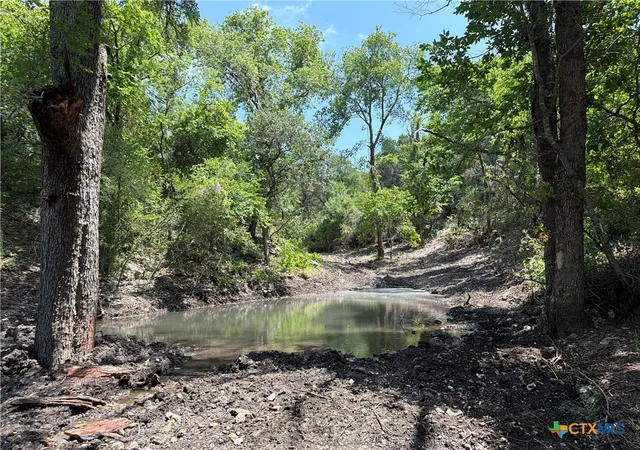 5th image of Tbd Fm 2955, Gatesville, TX 76528 | MLS# 568864
