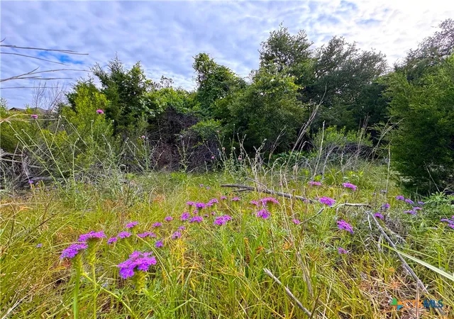 Photo 3 of Land for sale at 108 Sendera Way, Canyon Lake, TX 78133 | MLS# 569339 | Listing updated on 2026-02-03