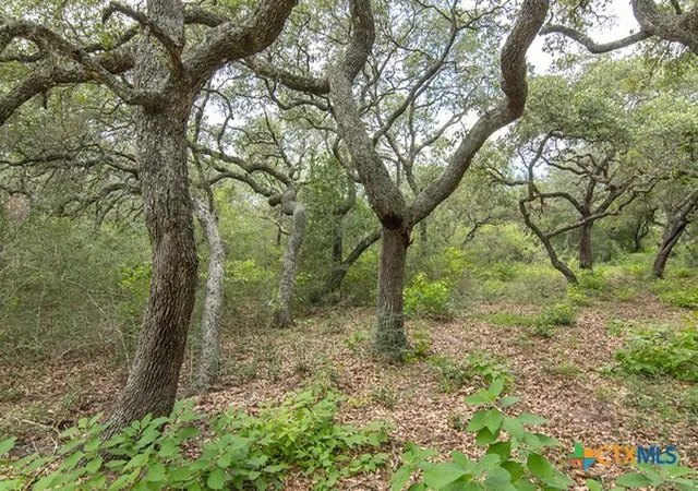 Photo 3 of Land for sale at Tract 12 Prairie 4061, Edna, TX 77957 | MLS# 567323 | Listing updated on 2026-07-26