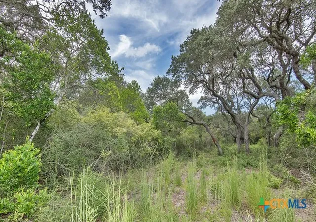Photo 4 of Land for sale at Tract 12 Prairie 4061, Edna, TX 77957 | MLS# 567323 | Listing updated on 2026-07-26