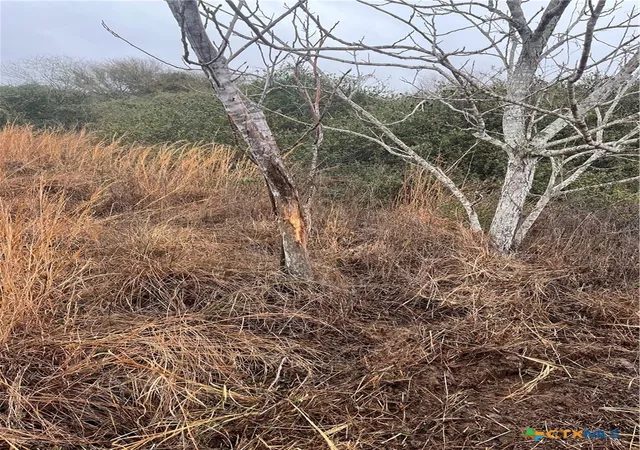 Photo 2 of Land for sale at 2045 Juan Antonio Rd, Victoria, TX 77904 | MLS# 567312 | Listing updated on 2026-01-28