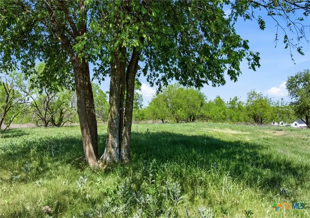 5th image of 6947 Moody Rd, Moody, TX 76557 | MLS# 570051