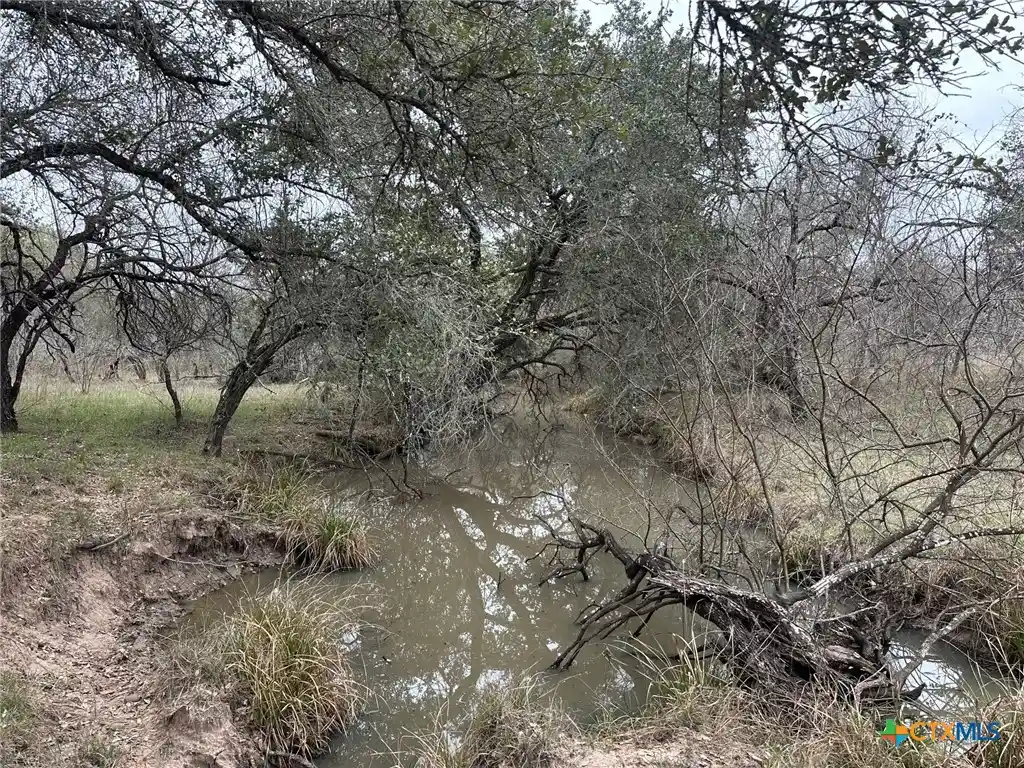 Photo 1 of Land for sale at 6 Dentler Tract 6 Rd, Meyersville, TX 77974 | MLS# 570841 | Listing updated on 2026-10-26