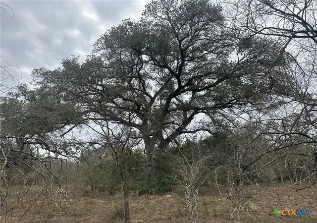 2nd image of 7 Dentler Tract 7 Rd, Meyersville, TX 77974 | MLS# 570833