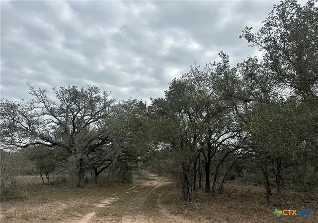 Photo 3 of Sale Pending at 7 Dentler Tract 7 Rd, Meyersville, TX 77974 | MLS# 570833 | Listing updated on 2026-07-02