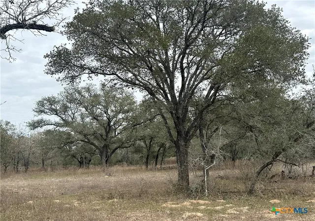 Photo 3 of Sale Pending at 7 Dentler Tract 7 Rd, Meyersville, TX 77974 | MLS# 570833 | Listing updated on 2026-07-02