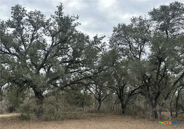 Photo 4 of Sale Pending at 7 Dentler Tract 7 Rd, Meyersville, TX 77974 | MLS# 570833 | Listing updated on 2026-07-02
