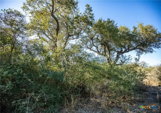 Photo 47 of Land for sale at 6498 Highway 35 N, Rockport, TX 78382 | MLS# 573087 | Listing updated on 2026-07-02
