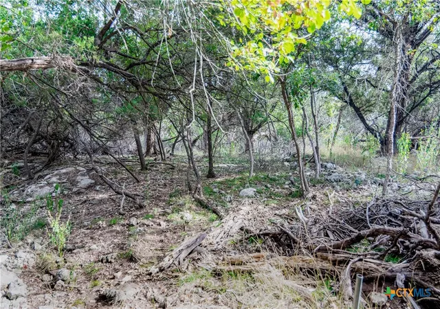 Photo 3 of Land for sale at 16353 Charlya Dr, Temple, TX 76502 | MLS# 573090 | Listing updated on 2026-06-23