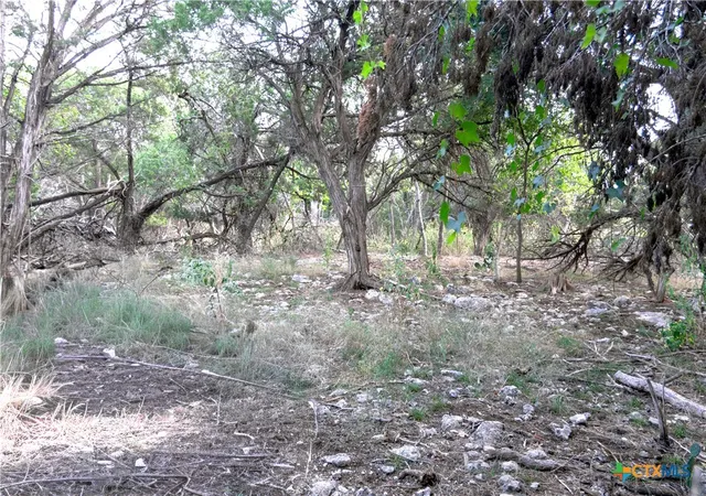 Photo 3 of Land for sale at 16353 Charlya Dr, Temple, TX 76502 | MLS# 573090 | Listing updated on 2026-06-23