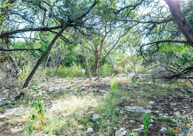 Photo 4 of Land for sale at 16353 Charlya Dr, Temple, TX 76502 | MLS# 573090 | Listing updated on 2026-06-23