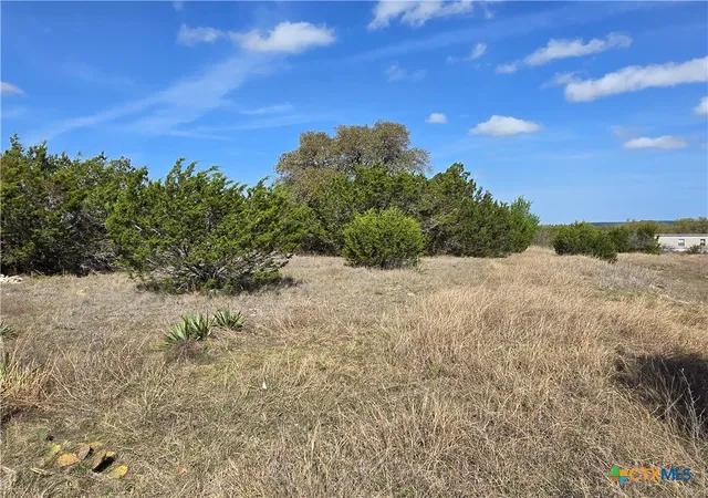 4th image of 5930 Fm 3484, Salado, TX 76571 | MLS# 573950