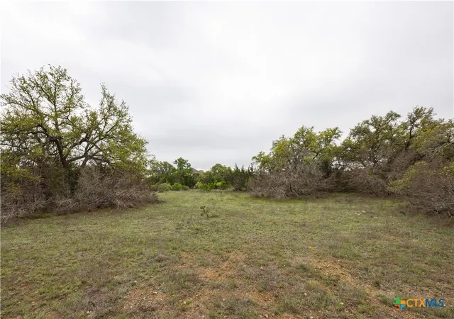 1st image of Tbd Logan's Way, Blanco, TX 78606 | MLS# 574852