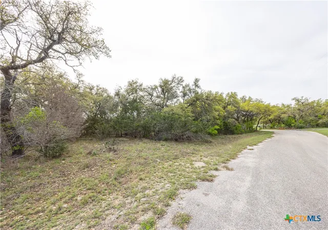 24th image of Tbd Logan's Way, Blanco, TX 78606 | MLS# 574852