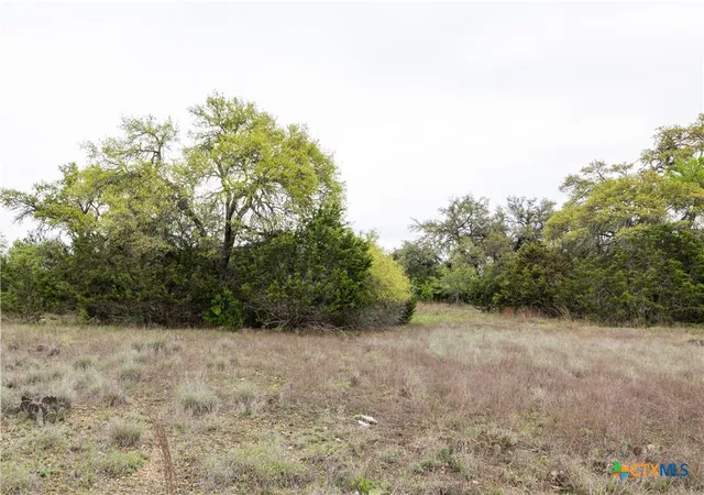 3rd image of Tbd Logan'S Way, Blanco, TX 78606 | MLS# 574852