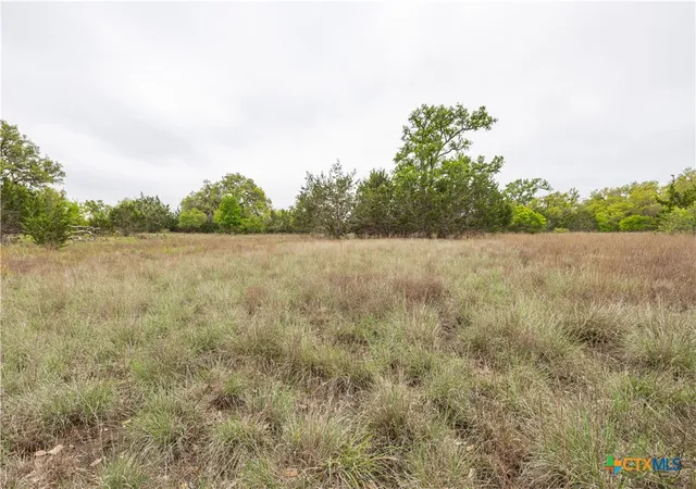 4th image of Tbd Logan'S Way, Blanco, TX 78606 | MLS# 574852