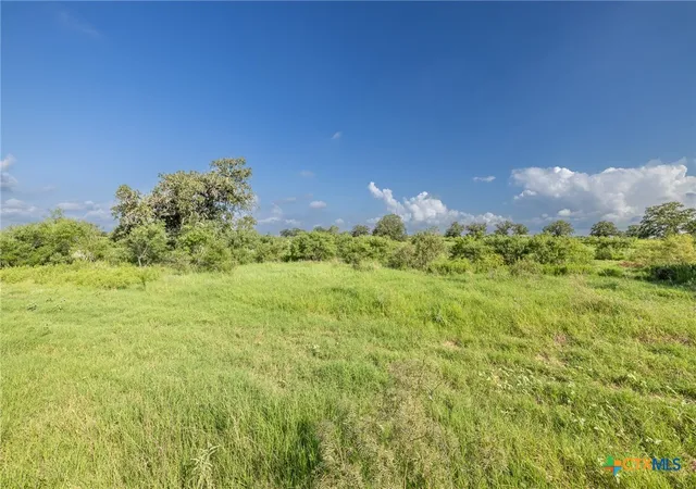 Photo 3 of Land for sale at Lot 1-b County Rd 491, Gonzales, TX 78629 | MLS# 575303 | Listing updated on 2026-03-27