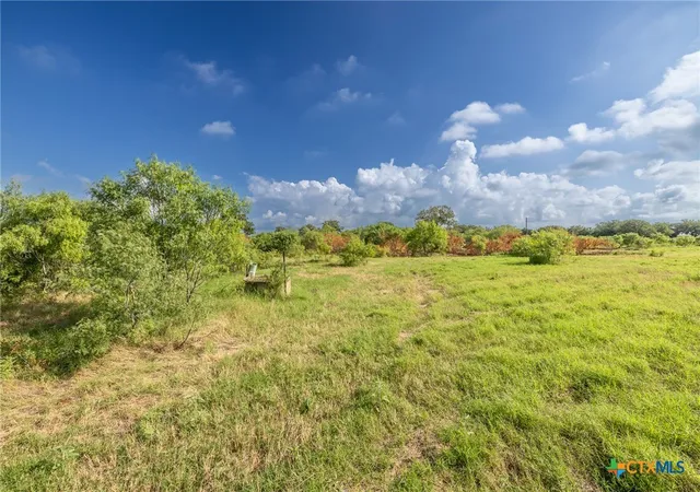 Photo 4 of Land for sale at Lot 1-b County Rd 491, Gonzales, TX 78629 | MLS# 575303 | Listing updated on 2026-03-27