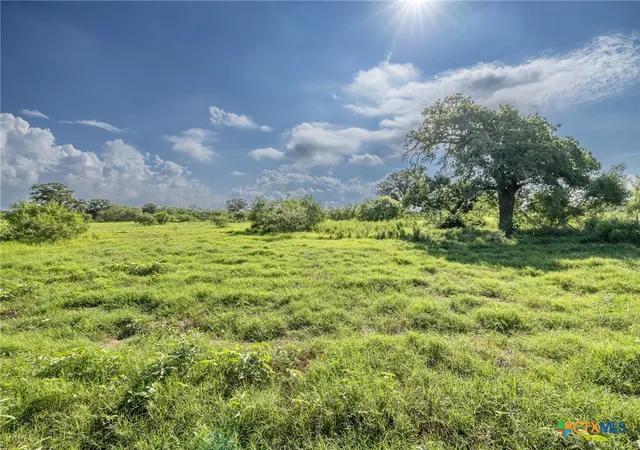 4th image of Lot 1-C County Road 491, Gonzales, TX 78629 | MLS# 575314