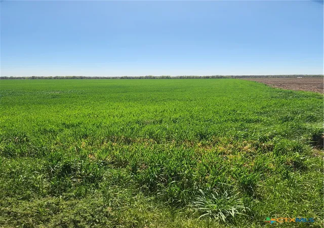 Homes for sale in Milford, TX | T B D Dales Acres, Milford, TX 76670 | MLS# 574084