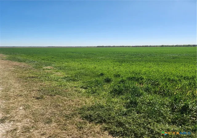 Homes for sale in Milford, TX | T B D Dales Acres, Milford, TX 76670 | MLS# 574084