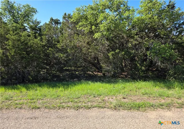 Photo 2 of Land for sale at 343 Falconwood Dr, San Marcos, TX 78666 | MLS# 575999 | Listing updated on 2026-03-23
