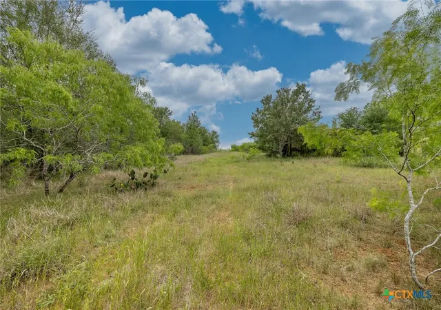 Photo 2 of Sale Pending at Tbd County Road 238, Gonzales, TX 78629 | MLS# 576757 | Listing updated on 2025-10-27