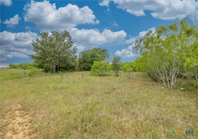 Photo 4 of Sale Pending at Tbd County Road 238, Gonzales, TX 78629 | MLS# 576757 | Listing updated on 2025-10-27
