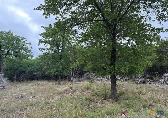 Photo 4 of Land for sale at 125 Hillcrest Dr, Gatesville, TX 76528 | MLS# 577828 | Listing updated on 2026-07-10